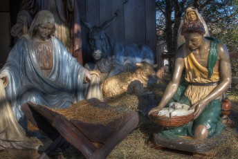 completed-nativity-035