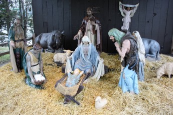 completed-nativity-2012_29_01