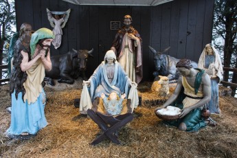 completed-nativity-2013_03_00