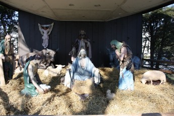 2010-christmas-nativity-31