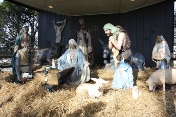 2011-christmas-nativity-13