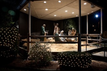 2012-nativity-setup-103
