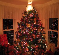 2005-progressive-dinner-35