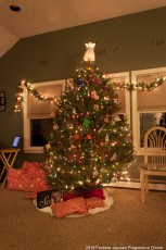 2015-jaycee-progressive-dinnner-133