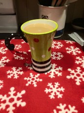 2015-jaycee-progressive-dinnner-80